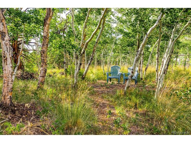 210 Pine Ridge Rd, Fairplay, CO 80440
