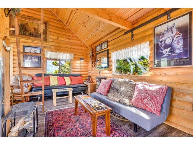 210 Pine Ridge Rd, Fairplay, CO 80440