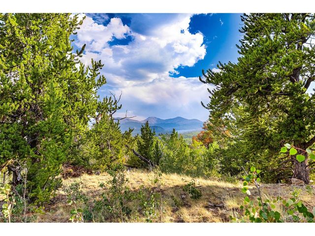 210 Pine Ridge Rd, Fairplay, CO 80440