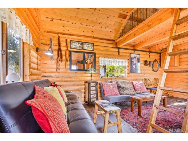 210 Pine Ridge Rd, Fairplay, CO 80440