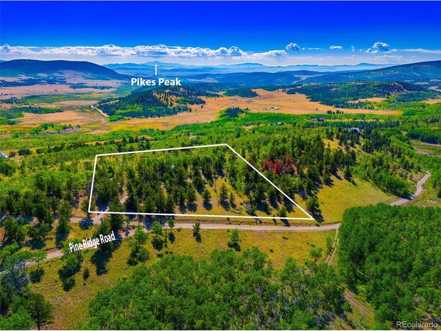210 Pine Ridge Rd, Fairplay, CO 80440