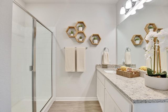 164 Hornet ST, Elgin, TX 78621