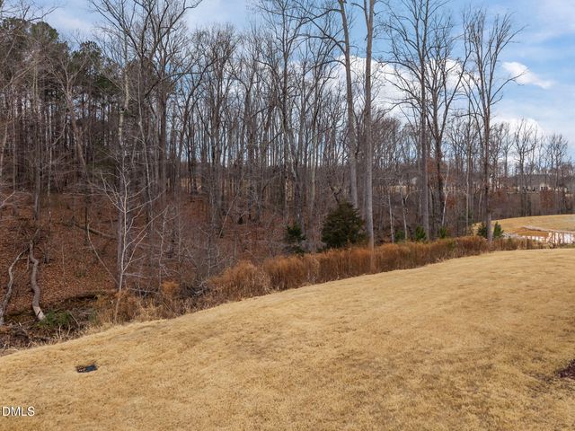 170 Sawtooth Oak Lane, Youngsville, NC 27596