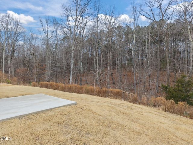 170 Sawtooth Oak Lane, Youngsville, NC 27596