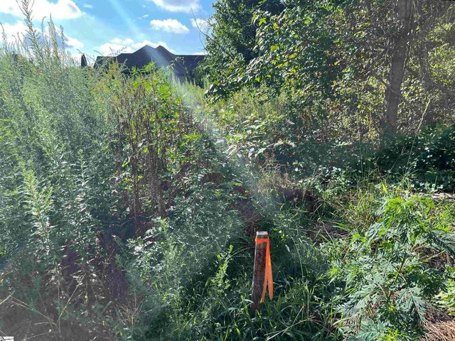 116 Gascony Drive, Greenville, SC 29609