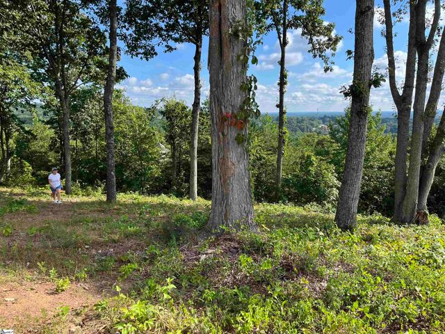 116 Gascony Drive, Greenville, SC 29609