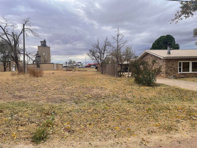 105 13th Street, Seagraves, TX 79359