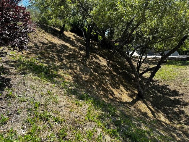 4632 Libbit, Encino, CA 91436