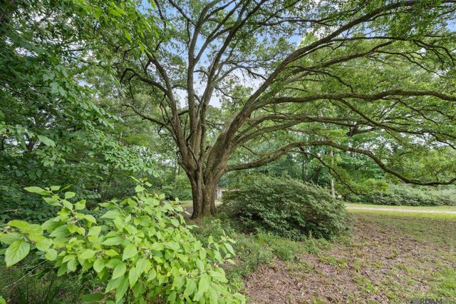 7042 Reed Rd, St Francisville, LA 70775