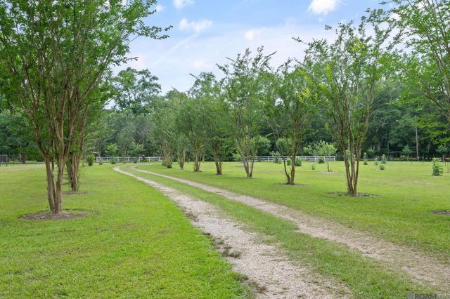 7042 Reed Rd, St Francisville, LA 70775