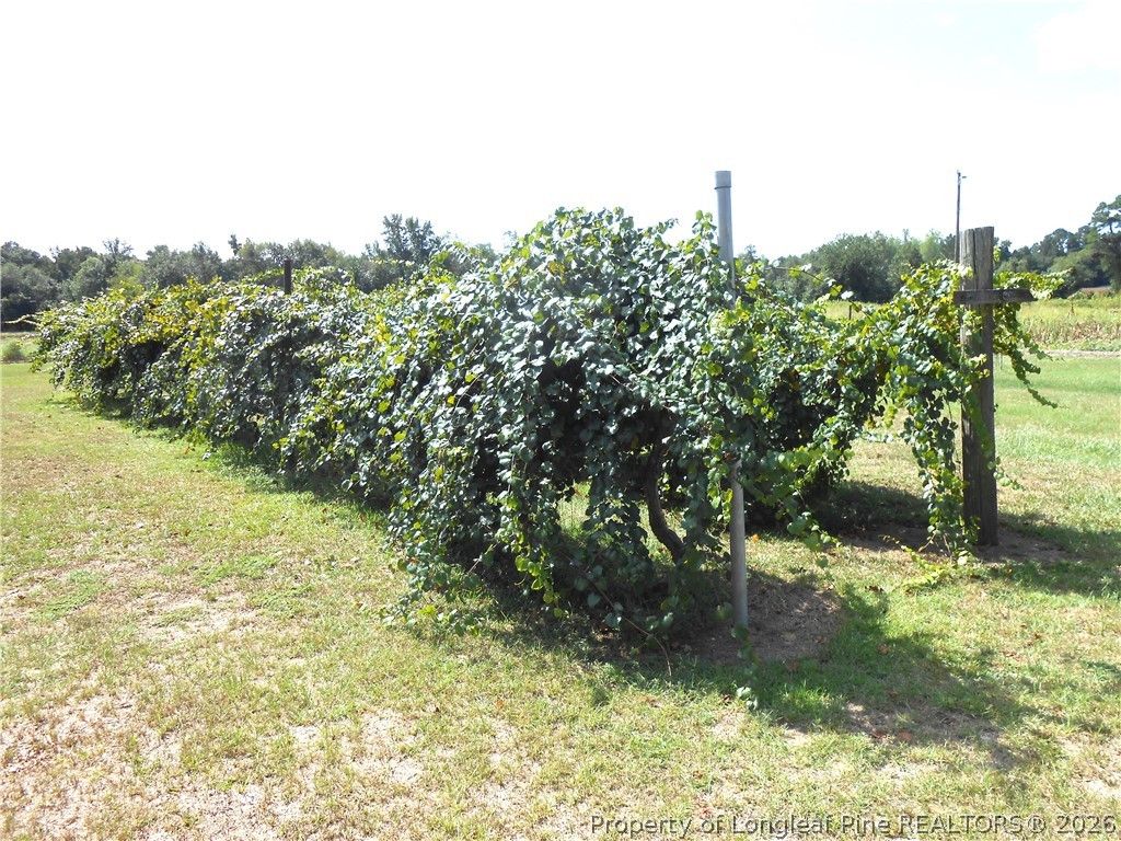644 Lamb Road, Lumberton, NC 28358 — photo 17