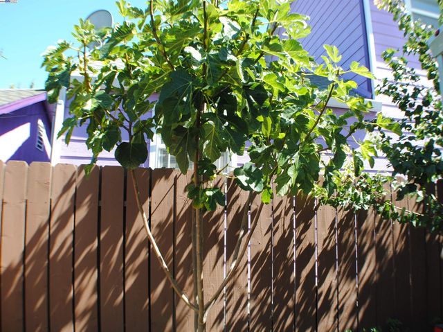 10468 West Court, Oakland, CA 94603