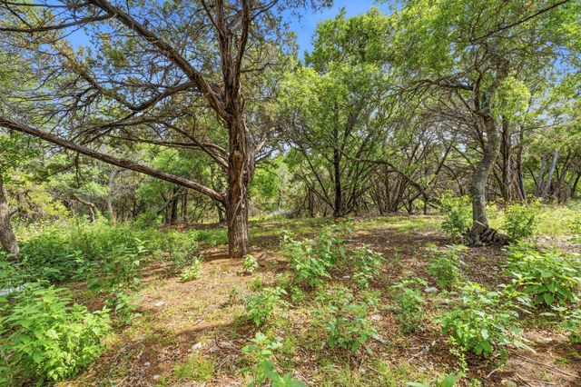 12411 Lone Mountain PASS, Leander, TX 78641