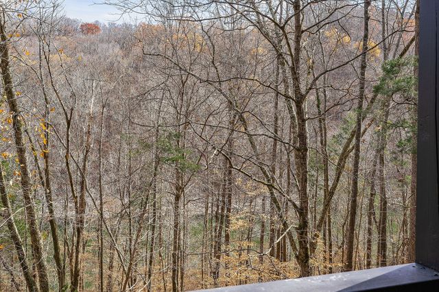 1337 Lakeside Dr, Smithville, TN 37166