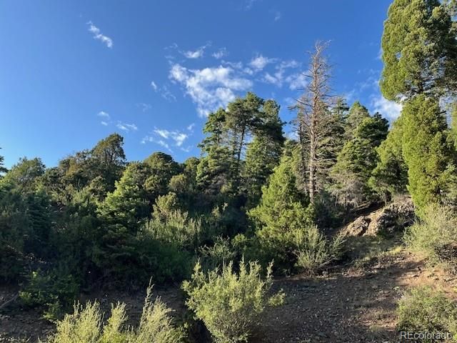 Lot 5693 Balleroy Road, San Luis, CO 81152