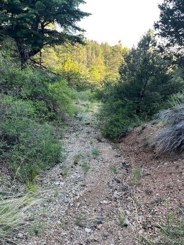 Lot 5693 Balleroy Road, San Luis, CO 81152