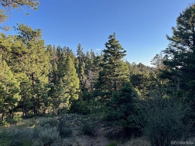 Lot 5693 Balleroy Road, San Luis, CO 81152