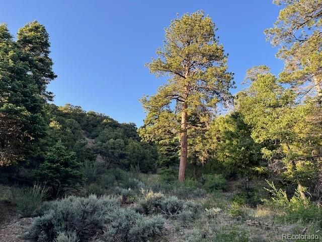 Lot 5693 Balleroy Road, San Luis, CO 81152