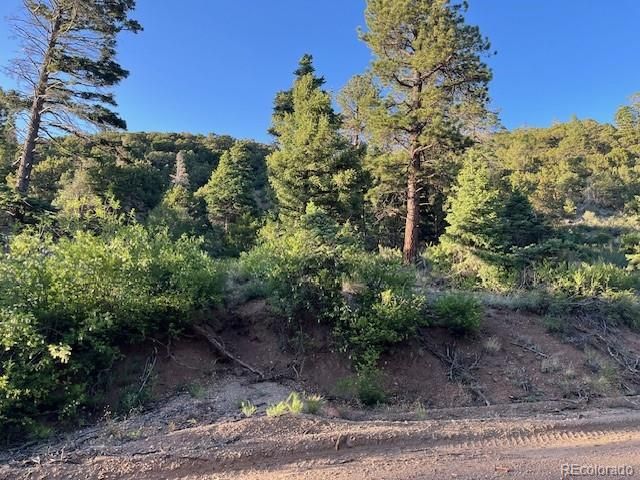 Lot 5693 Balleroy Road, San Luis, CO 81152