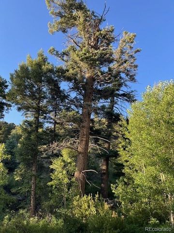 Lot 5693 Balleroy Road, San Luis, CO 81152