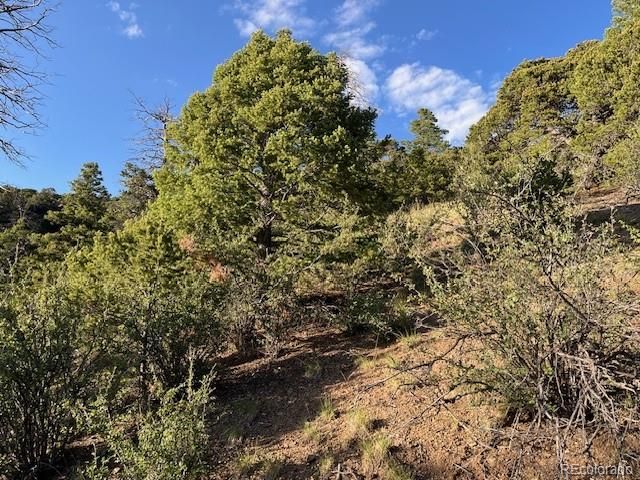 Lot 5693 Balleroy Road, San Luis, CO 81152