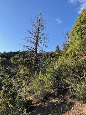 Lot 5693 Balleroy Road, San Luis, CO 81152