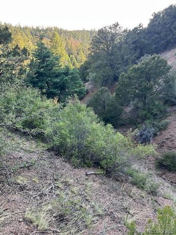 Lot 5693 Balleroy Road, San Luis, CO 81152