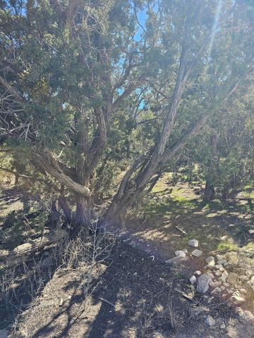 12 Perdiz Canyon Road, Placitas, NM 87043