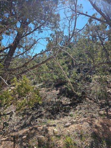 12 Perdiz Canyon Road, Placitas, NM 87043