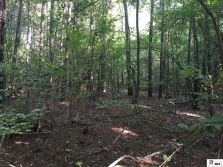 000 HIGHWAY 552, Downsville, LA 71234