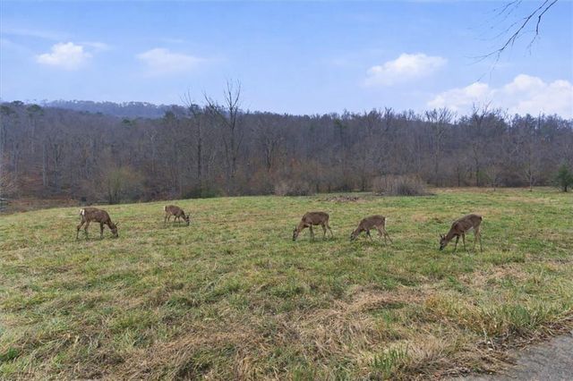 1478 Shinbone Valley Rd, La Fayette, GA 30728