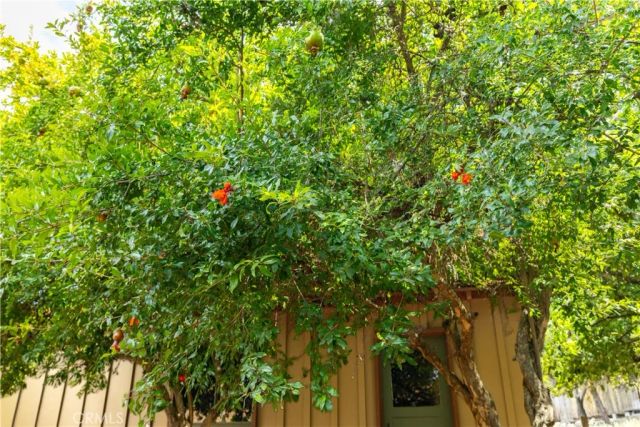 370 Pacific Avenue, Paso Robles, CA 93446