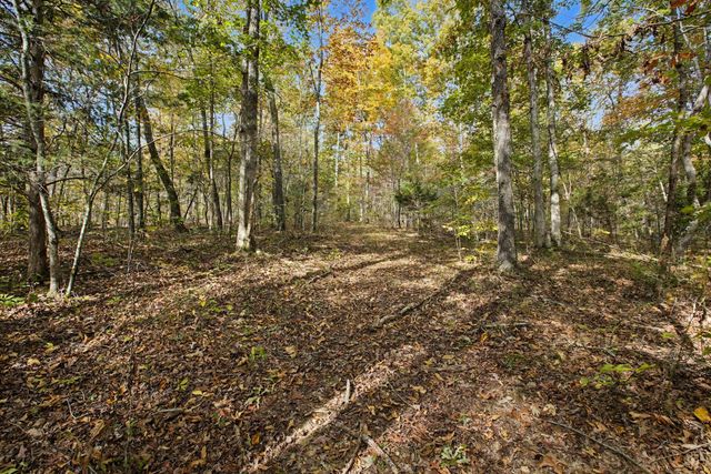 10878 Highway 7, Primm Springs, TN 38476