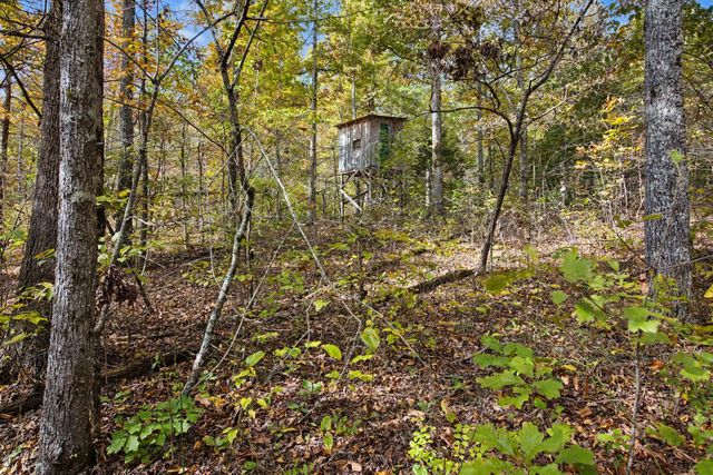 10878 Highway 7, Primm Springs, TN 38476