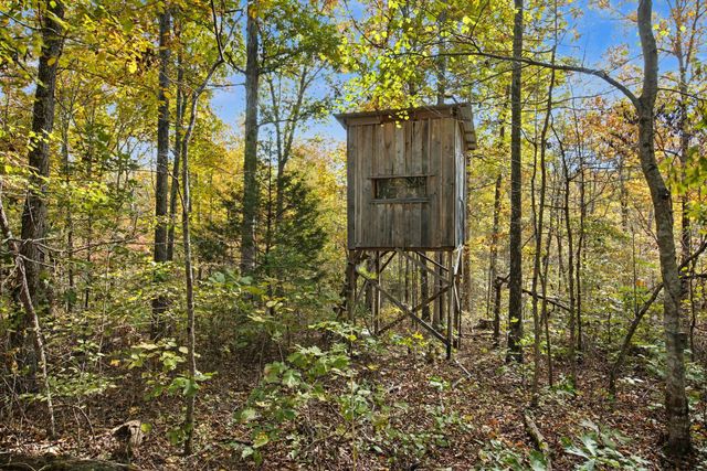 10878 Highway 7, Primm Springs, TN 38476