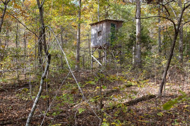 10878 Highway 7, Primm Springs, TN 38476