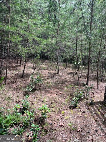 0 Windy Ridge, Otto, NC 28763