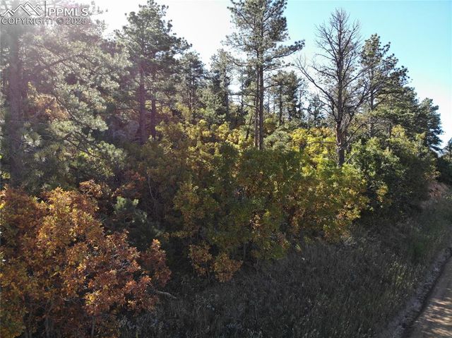 Oakdale Terrace, Palmer Lake, CO 80133