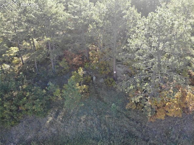 Oakdale Terrace, Palmer Lake, CO 80133