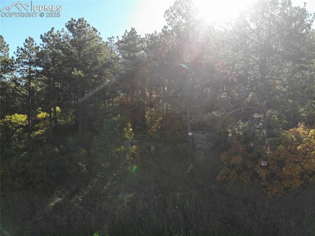 Oakdale Terrace, Palmer Lake, CO 80133