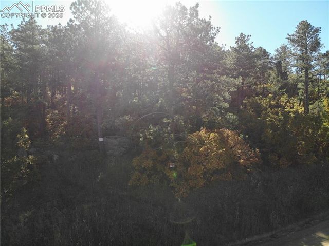 Oakdale Terrace, Palmer Lake, CO 80133