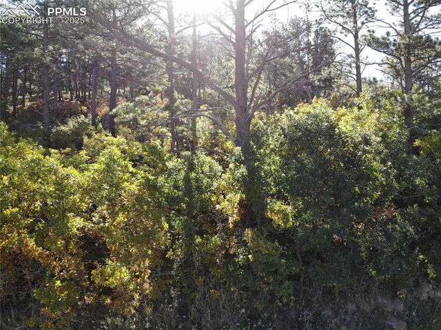 Oakdale Terrace, Palmer Lake, CO 80133