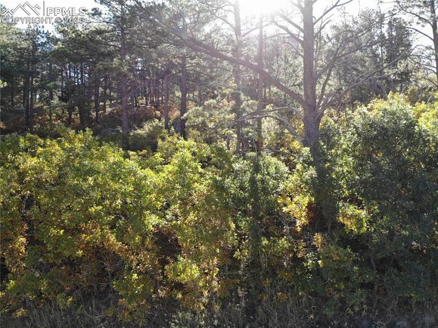 Oakdale Terrace, Palmer Lake, CO 80133