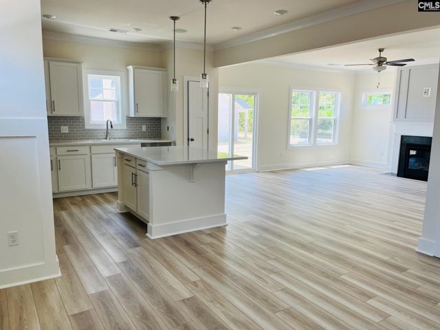 19 Fangango Court, Blythewood, SC 29016