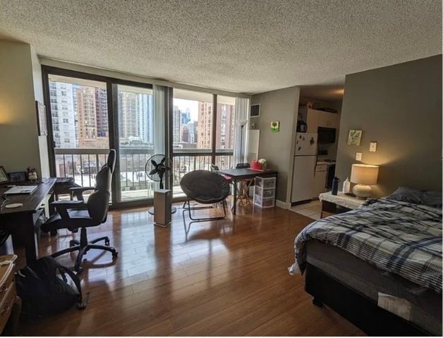33 W Delaware Place 9C, Chicago, IL 60610
