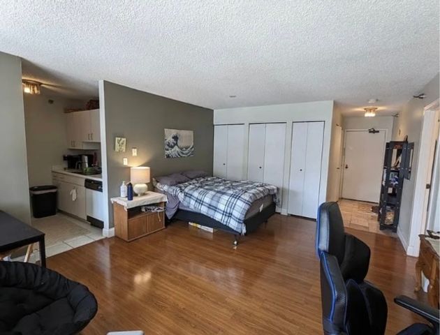 33 W Delaware Place 9C, Chicago, IL 60610