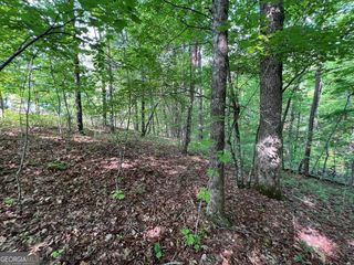 9 + ACRE Leonard Lane, Murphy, NC 28906