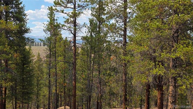 67 Lodgepole Drive, Leadville, CO 80461