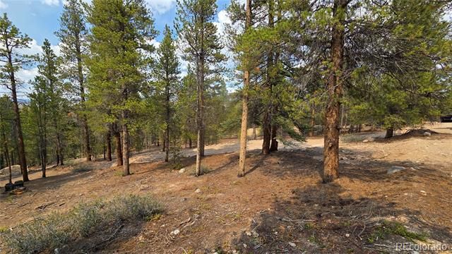 67 Lodgepole Drive, Leadville, CO 80461