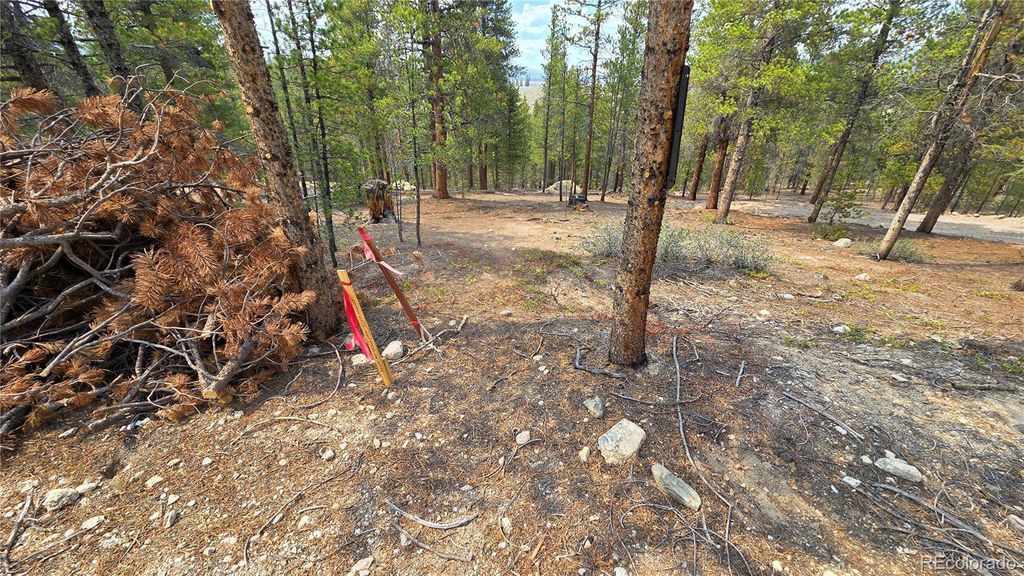 67 Lodgepole Drive, Leadville, CO 80461